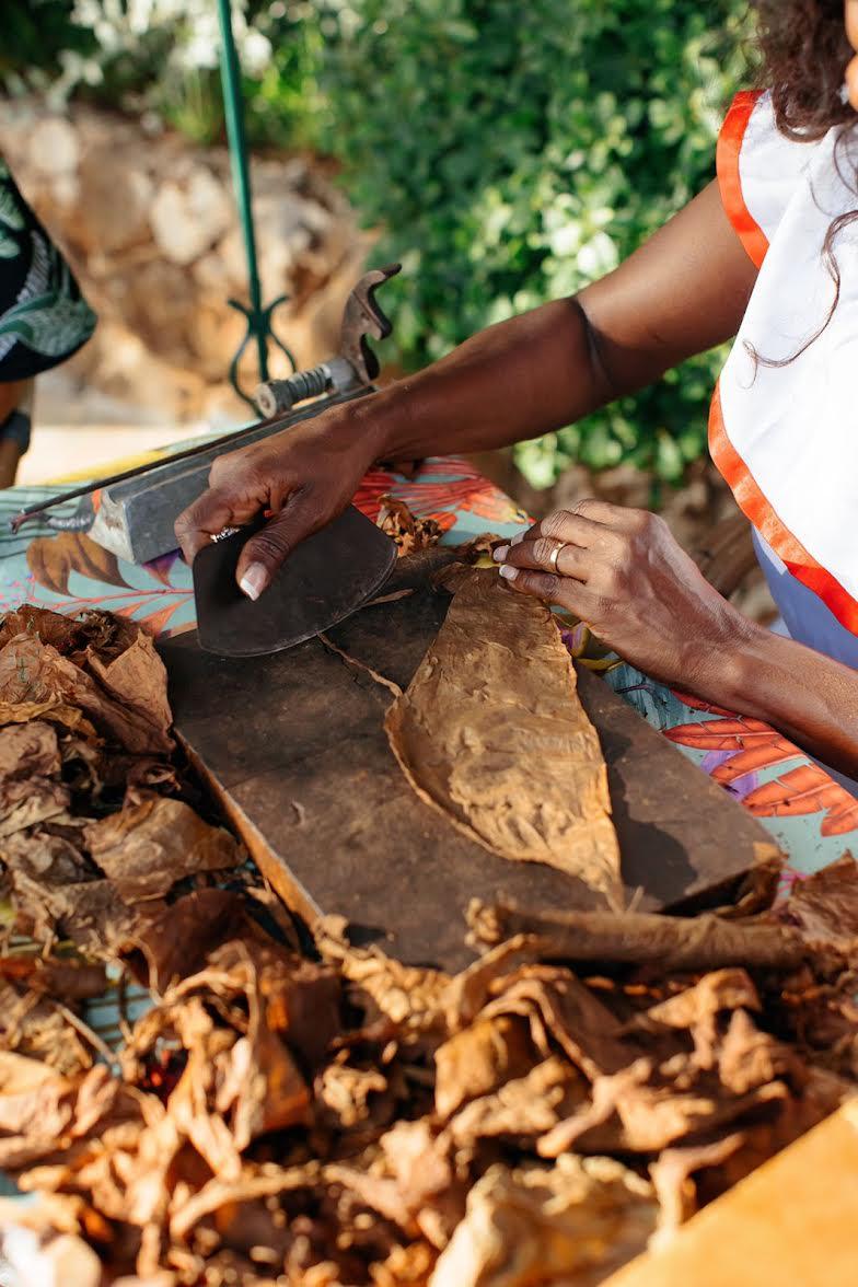 Cuban Cigar Rolling Masterclasses