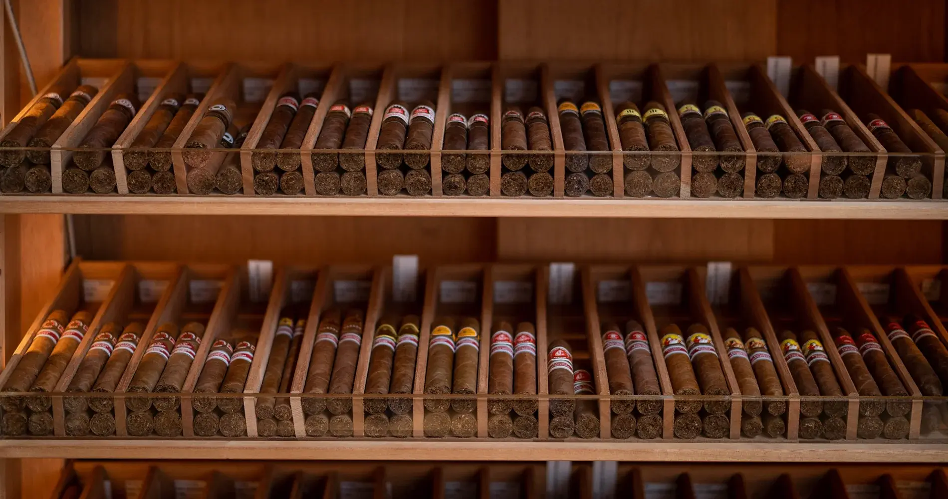 EGM Cigars - Photo 1